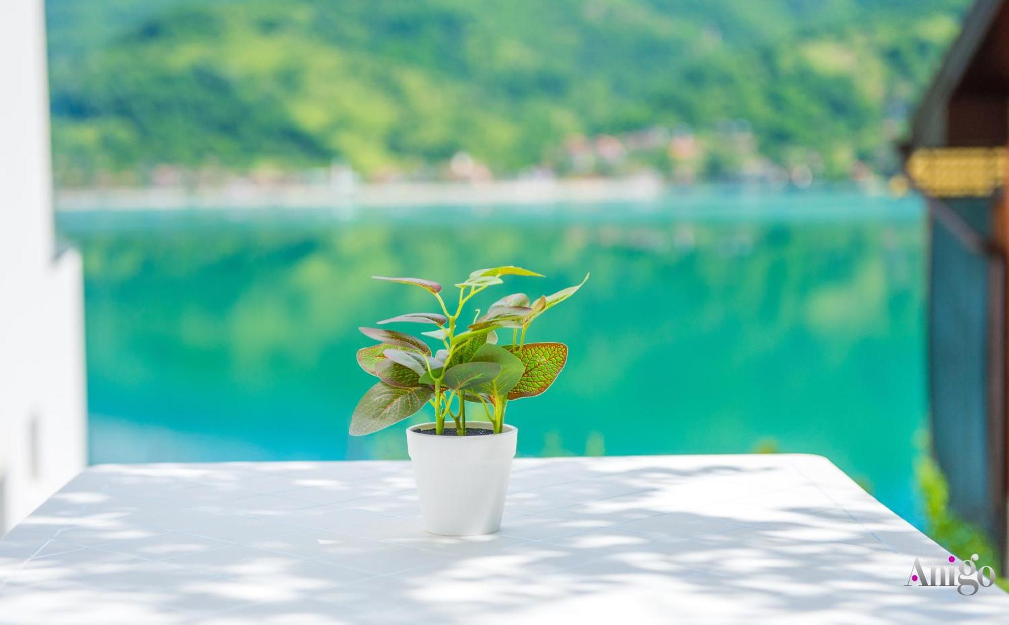 Royal Terrace Apartments Konjic Bagian luar foto